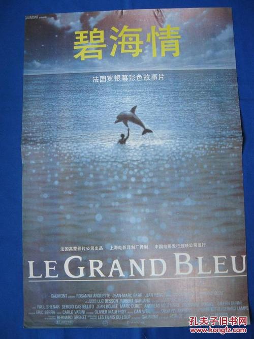 哪里能办意大利护照电子版